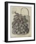Pine Strawberry Plant, Grown by Mr Cuthill, at Camberwell-null-Framed Giclee Print