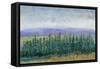 Pine Tops II-Tim OToole-Framed Stretched Canvas