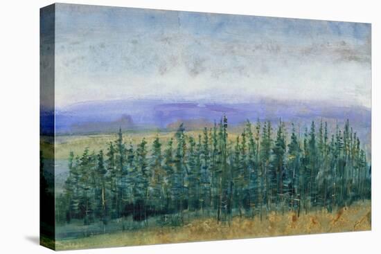 Pine Tops II-Tim OToole-Stretched Canvas