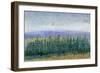 Pine Tops II-Tim OToole-Framed Art Print