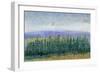 Pine Tops II-Tim OToole-Framed Art Print