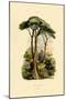 Pine Tree, 1833-39-null-Mounted Giclee Print