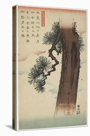 Pine Tree, 1837-1844-Utagawa Hiroshige-Stretched Canvas