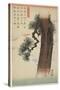 Pine Tree, 1837-1844-Utagawa Hiroshige-Stretched Canvas