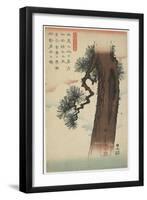 Pine Tree, 1837-1844-Utagawa Hiroshige-Framed Giclee Print