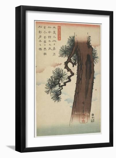 Pine Tree, 1837-1844-Utagawa Hiroshige-Framed Giclee Print