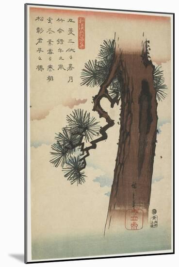 Pine Tree, 1837-1844-Utagawa Hiroshige-Mounted Giclee Print