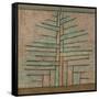 Pine Tree, 1932-Paul Klee-Framed Stretched Canvas