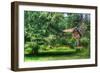 Pine Tree and Cottages-Robert Goldwitz-Framed Photographic Print