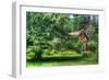 Pine Tree and Cottages-Robert Goldwitz-Framed Photographic Print