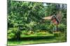 Pine Tree and Cottages-Robert Goldwitz-Mounted Photographic Print