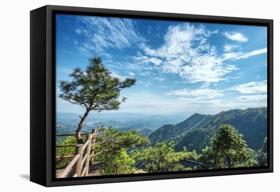 Pine Tree and Green Mountains at Tian Mu Shan Four Sides Peak, Zhejiang, China-Andreas Brandl-Framed Stretched Canvas