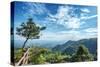 Pine Tree and Green Mountains at Tian Mu Shan Four Sides Peak, Zhejiang, China-Andreas Brandl-Stretched Canvas