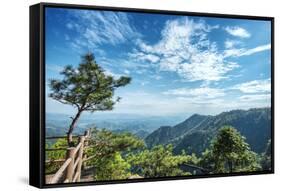 Pine Tree and Green Mountains at Tian Mu Shan Four Sides Peak, Zhejiang, China-Andreas Brandl-Framed Stretched Canvas