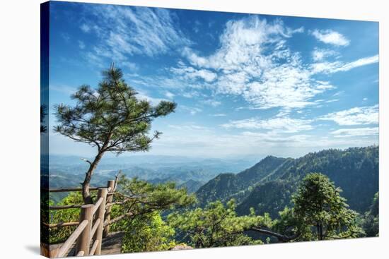 Pine Tree and Green Mountains at Tian Mu Shan Four Sides Peak, Zhejiang, China-Andreas Brandl-Stretched Canvas