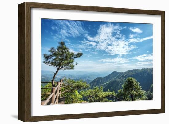 Pine Tree and Green Mountains at Tian Mu Shan Four Sides Peak, Zhejiang, China-Andreas Brandl-Framed Photographic Print