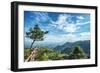 Pine Tree and Green Mountains at Tian Mu Shan Four Sides Peak, Zhejiang, China-Andreas Brandl-Framed Photographic Print