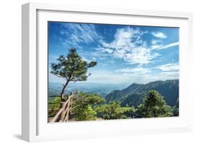 Pine Tree and Green Mountains at Tian Mu Shan Four Sides Peak, Zhejiang, China-Andreas Brandl-Framed Photographic Print