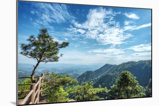 Pine Tree and Green Mountains at Tian Mu Shan Four Sides Peak, Zhejiang, China-Andreas Brandl-Mounted Photographic Print