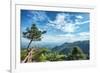 Pine Tree and Green Mountains at Tian Mu Shan Four Sides Peak, Zhejiang, China-Andreas Brandl-Framed Photographic Print