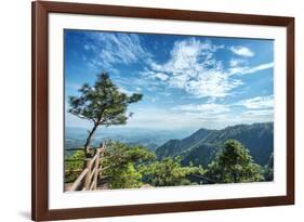 Pine Tree and Green Mountains at Tian Mu Shan Four Sides Peak, Zhejiang, China-Andreas Brandl-Framed Photographic Print