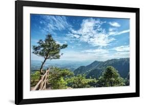 Pine Tree and Green Mountains at Tian Mu Shan Four Sides Peak, Zhejiang, China-Andreas Brandl-Framed Photographic Print