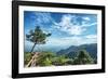 Pine Tree and Green Mountains at Tian Mu Shan Four Sides Peak, Zhejiang, China-Andreas Brandl-Framed Photographic Print