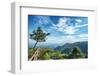 Pine Tree and Green Mountains at Tian Mu Shan Four Sides Peak, Zhejiang, China-Andreas Brandl-Framed Photographic Print