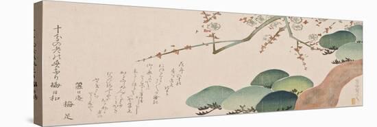 Pine Tree and Plum Blossom, 1810-30-Nakamura Hochu-Stretched Canvas