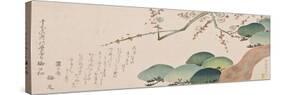 Pine Tree and Plum Blossom, 1810-30-Nakamura Hochu-Stretched Canvas