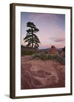 Pine Tree and Sandstone at Dawn with Pink Clouds-James Hager-Framed Photographic Print