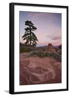 Pine Tree and Sandstone at Dawn with Pink Clouds-James Hager-Framed Photographic Print