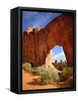 Pine Tree Arch in Arches National Park-Steve Terrill-Framed Stretched Canvas