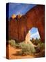 Pine Tree Arch in Arches National Park-Steve Terrill-Stretched Canvas