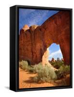 Pine Tree Arch in Arches National Park-Steve Terrill-Framed Stretched Canvas