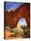 Pine Tree Arch in Arches National Park-Steve Terrill-Stretched Canvas