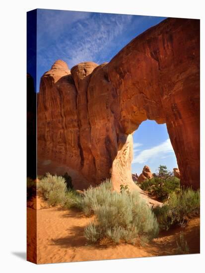 Pine Tree Arch in Arches National Park-Steve Terrill-Stretched Canvas