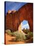Pine Tree Arch in Arches National Park-Steve Terrill-Stretched Canvas