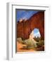 Pine Tree Arch in Arches National Park-Steve Terrill-Framed Photographic Print