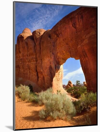 Pine Tree Arch in Arches National Park-Steve Terrill-Mounted Photographic Print