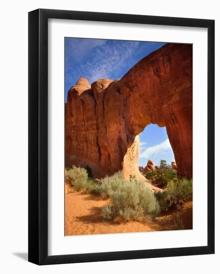 Pine Tree Arch in Arches National Park-Steve Terrill-Framed Photographic Print