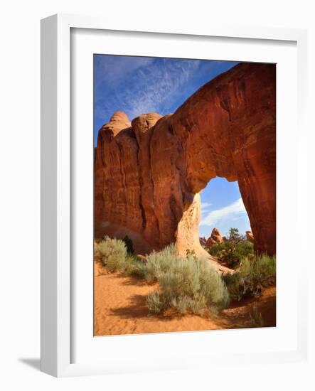 Pine Tree Arch in Arches National Park-Steve Terrill-Framed Photographic Print