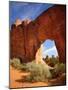 Pine Tree Arch in Arches National Park-Steve Terrill-Mounted Photographic Print