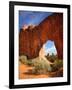 Pine Tree Arch in Arches National Park-Steve Terrill-Framed Photographic Print