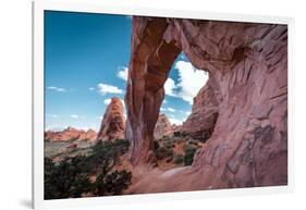 Pine Tree Arch-Belinda Shi-Framed Photographic Print