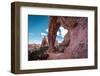 Pine Tree Arch-Belinda Shi-Framed Photographic Print