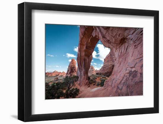 Pine Tree Arch-Belinda Shi-Framed Photographic Print