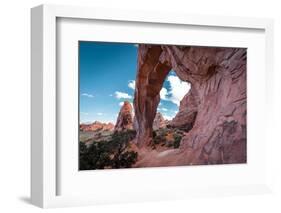 Pine Tree Arch-Belinda Shi-Framed Photographic Print