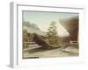 Pine Tree at Kinkaku-Ji, Kyoto, C.1905-null-Framed Giclee Print