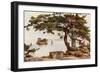Pine-Tree at Matsushima-Ella Du Cane-Framed Giclee Print